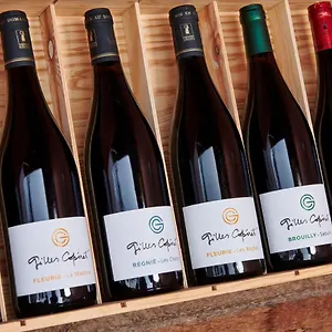  Bed & Breakfast Les Glycines - Domaine Gilles Coperet